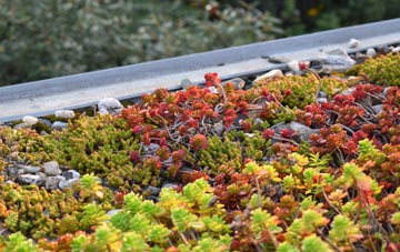 the cost of Swell green roof installation