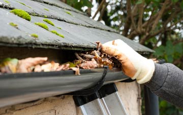 gutter cleaning Swell, Somerset
