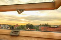 rated Swell roof window companies